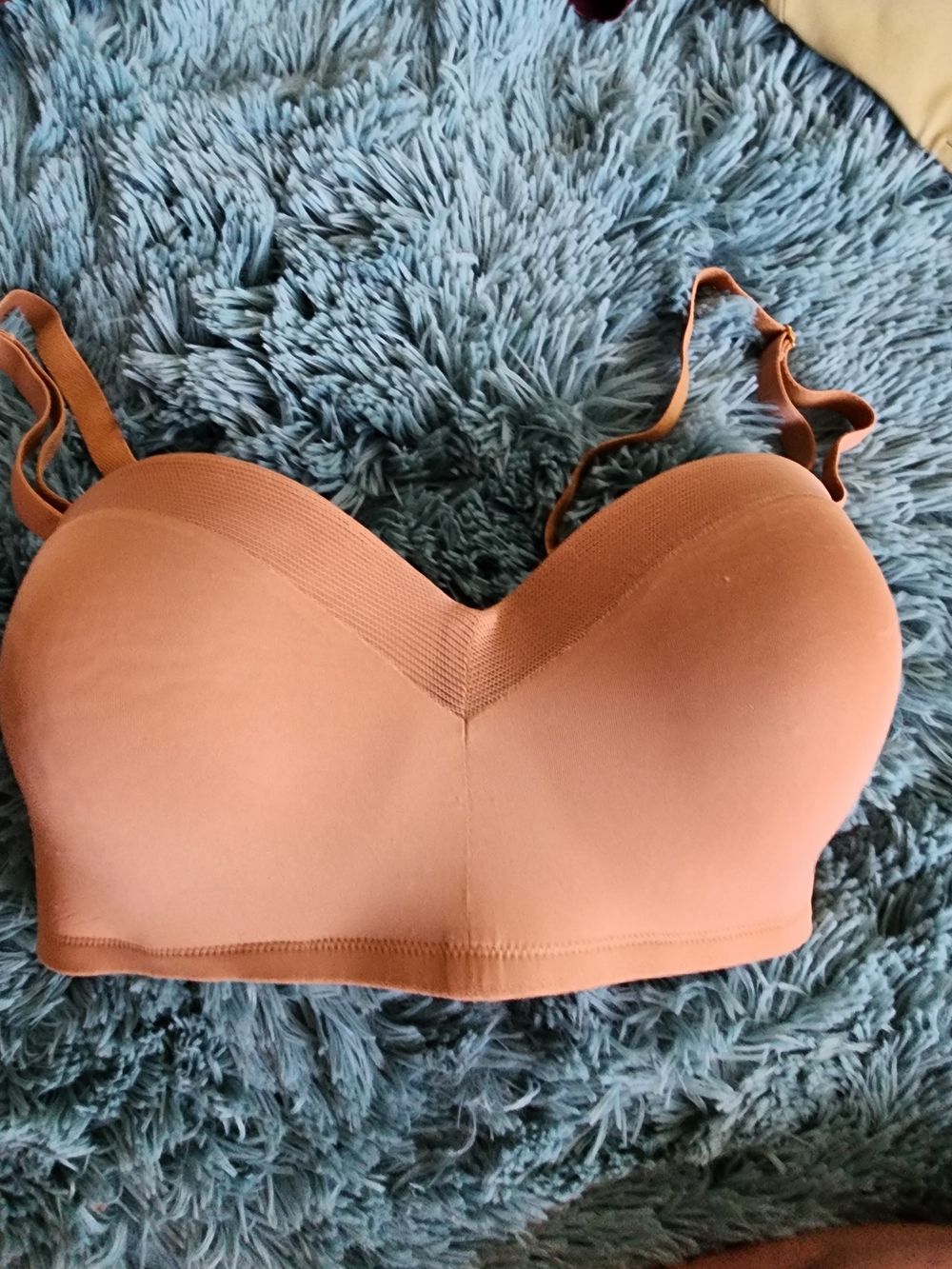 1 Strapless Tan & 1 Sports in Green Bra 34DD